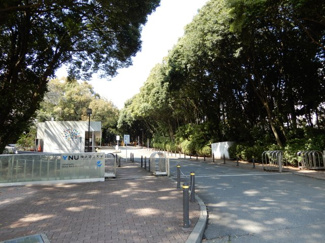 【周辺】 | リビオタワー羽沢横浜国大 | 横浜国大正門
