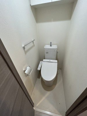 ブライズ亀戸ＤＵＥ のトイレ