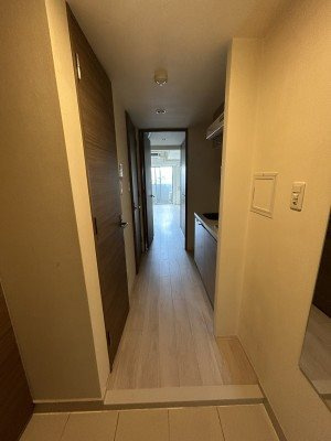 ブライズ亀戸ＤＵＥ の玄関