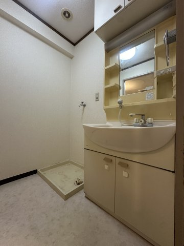 エスポワール参番館の洗面所