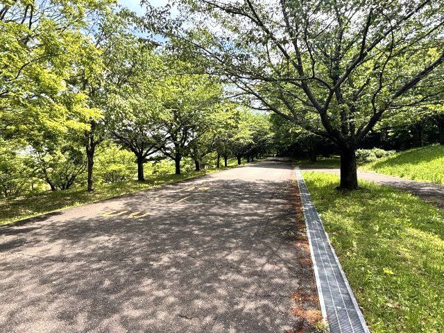 小山内裏公園方面への緑道