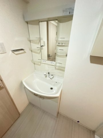 ブライズ蒲田WESTの洗面所