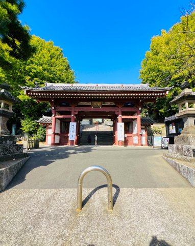 SHONAN URBAN RESORT｜駅近で叶える、余白のある暮らしの周辺