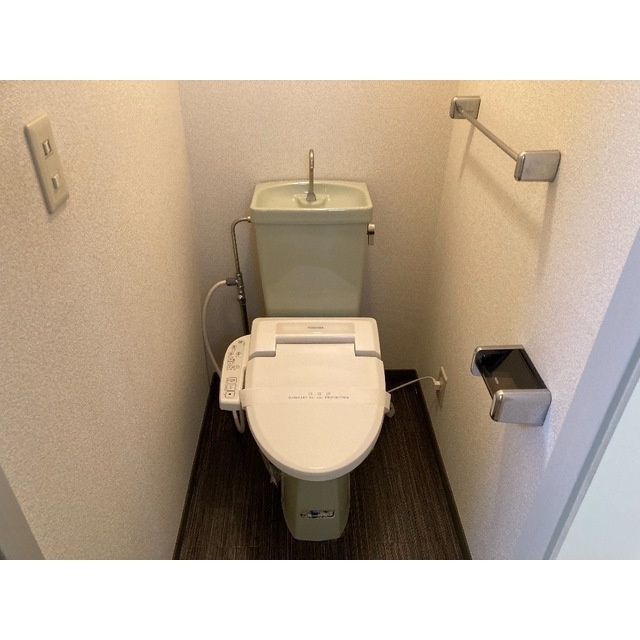 セントラルグリーンマンションのトイレ|落ち着いた色調のトイレです