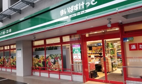 日神デュオステージ池袋の周辺