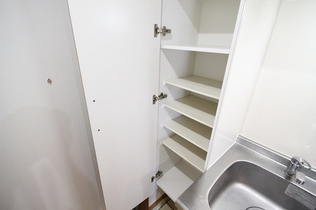 タウンライフ内山の収納|こまごまとしたものを収納できそうですね