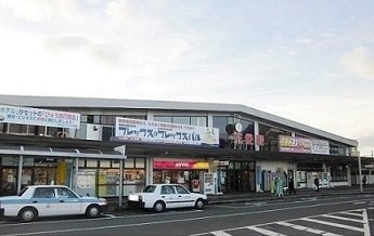 カリーネ　ミオの周辺|花巻駅まで2300m