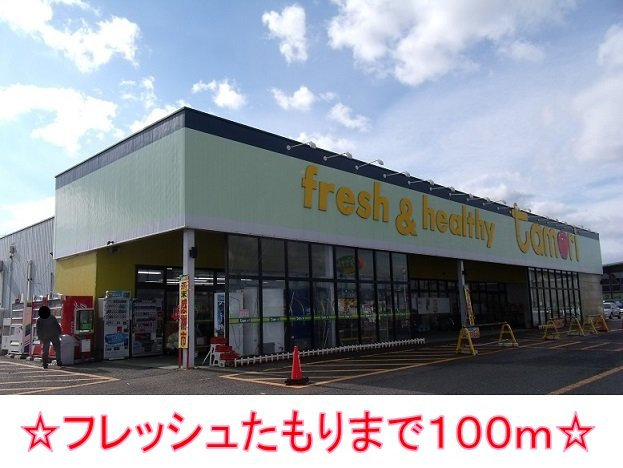 ラフィナートⅠの周辺|フレッシュたもりまで100m