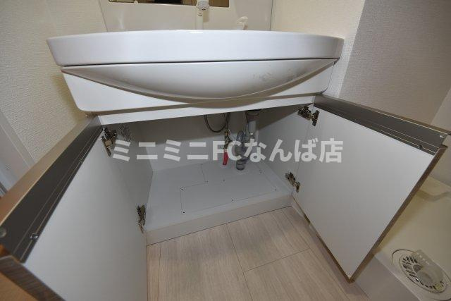 セイシア大拓
