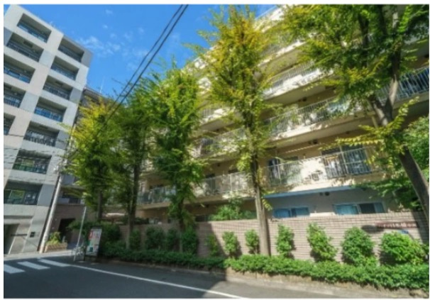 ★仲介手数料無料★ハイツ日本橋中洲の外観