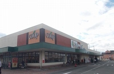 エクセラン　セードルの周辺|コープミオクチーナ新沢田店まで600m