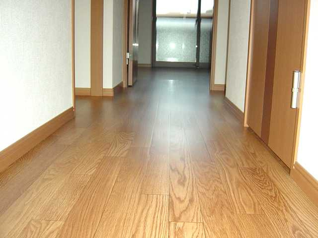 シャイン ウェーブ ｍｉｙａｇｏｓｈｉの内装|廊下