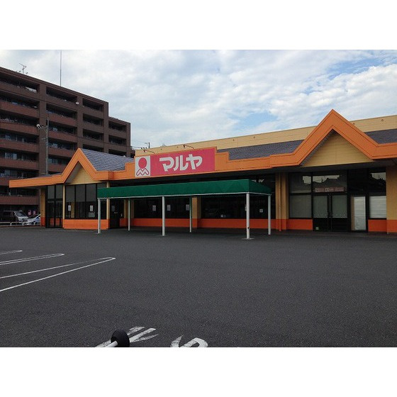 ドミールシャルマンの周辺|スーパー「マルヤ　越谷店まで550ｍ」