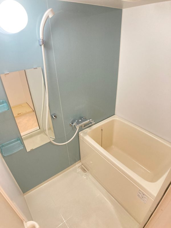 S-RESIDENCE難波Vialeの浴室
