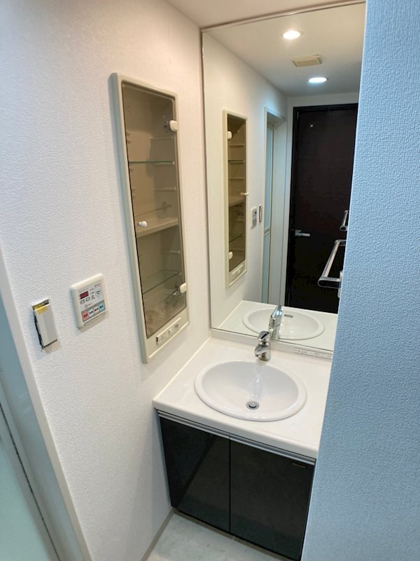 S-RESIDENCE難波Vialeの洗面所