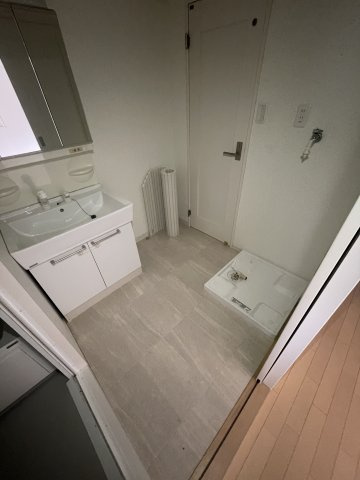 クイーンズハイツ名倉の洗面所