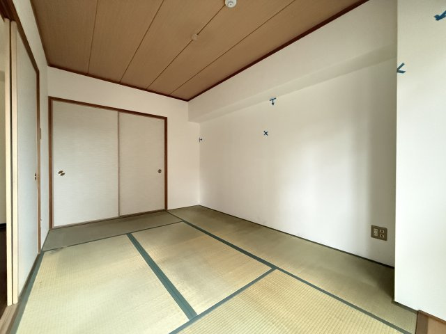 ルミノーゾスペランツァのその他