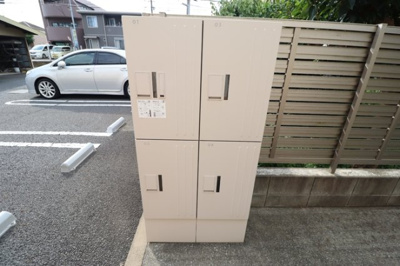 【その他】 | スタッピハウス