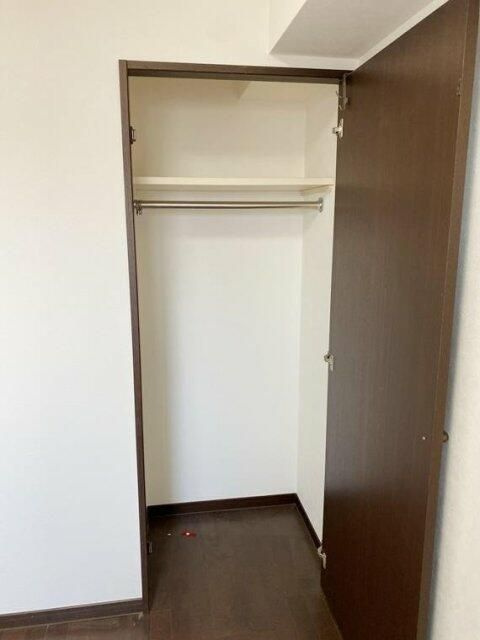 綾瀬市大上３丁目の賃貸マンションの収納