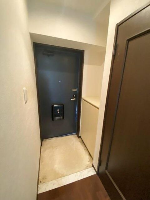 綾瀬市大上３丁目の賃貸マンションの玄関