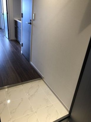 クレヴィスタ亀戸Ⅲの玄関