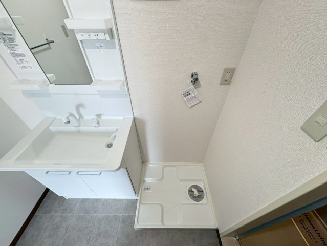 プルーリオンのその他