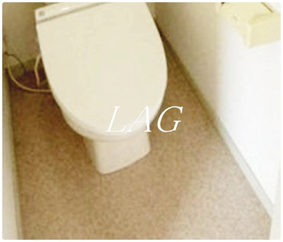 【トイレ】 | 丸越ハイツ | トイレです。