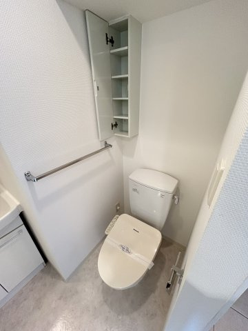 ルネ日本橋アネーロのトイレ