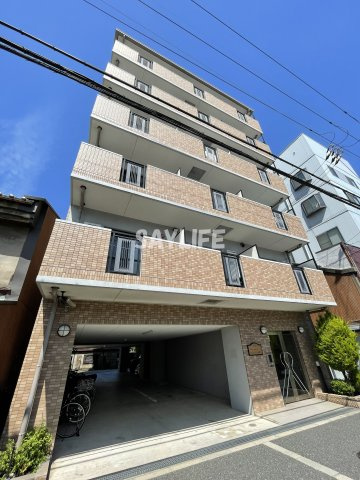 ネオ・グランツ高井田の外観