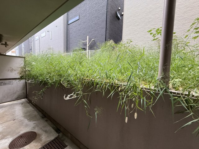 カルム緑地公園Ⅱの展望