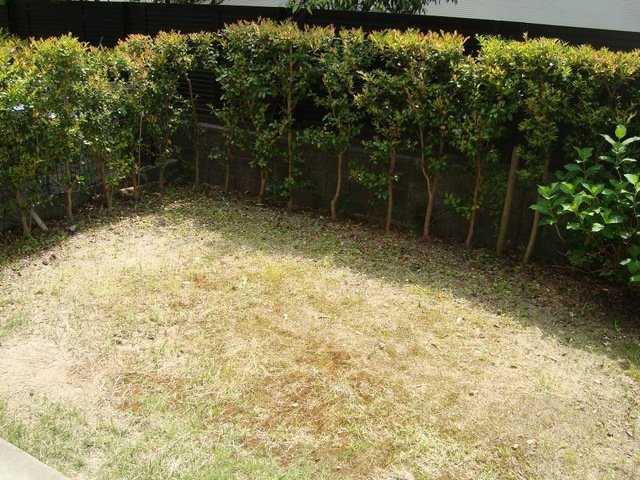 シャンパーニュの庭|イメージ