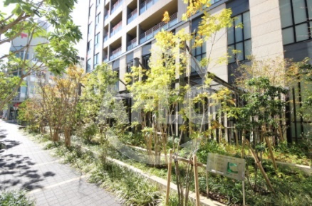 ブランズタワー大阪備後町のその他共用部分|ブランズタワー大阪備後町　植栽