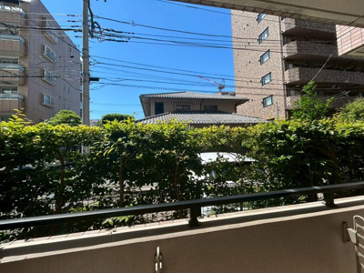 【展望】 | テラスジョージタウン