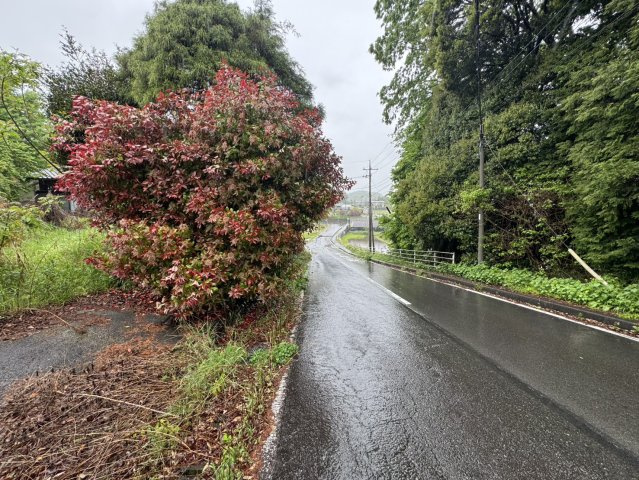 敷地1000㎡超！自然に包まれる古民家平家の前面道路含む現地写真