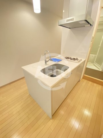 RIDGE北堀江のキッチン|ルクレ北堀江　カウンターキッチン
