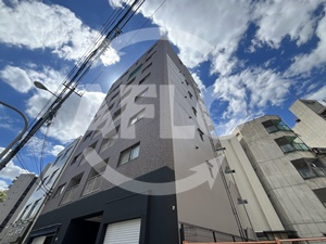 コンフォートZEN