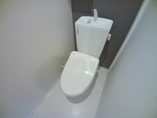 カーサアズール六甲のトイレ