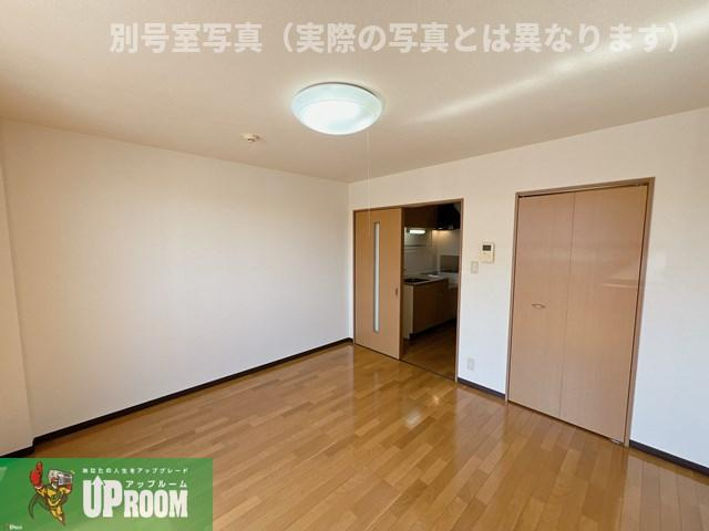グレイス・アキのその他
