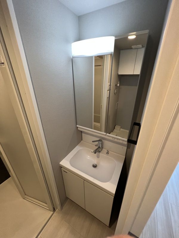 RELUXIA TOKYO EASTの洗面所