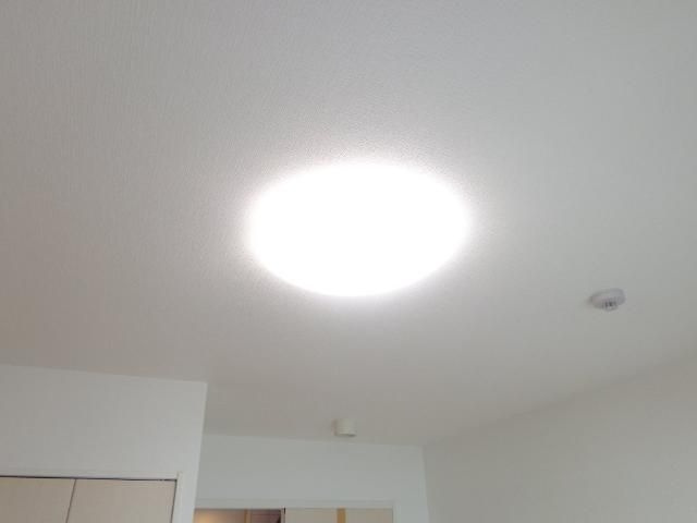 ＮＯＺｔ（ノッズ）のその他
