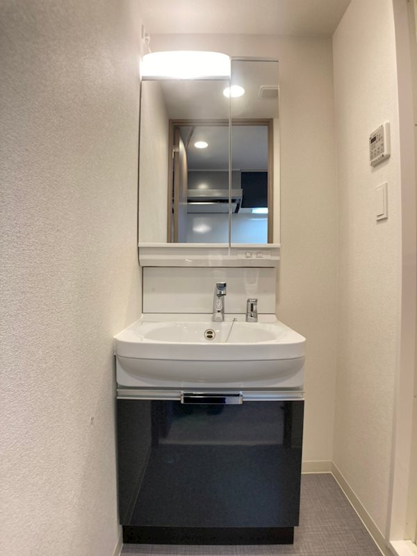 プレサンス谷町九丁目ディセオの洗面所