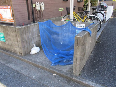 【その他共用部分】 | カサベルデ八方