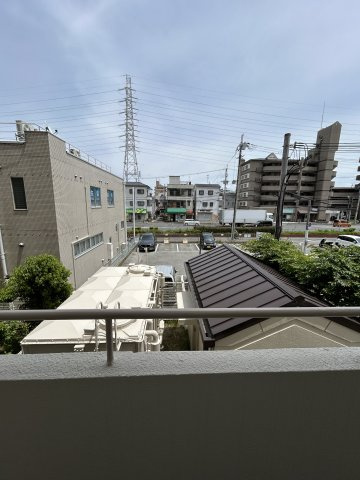 トゥエルブイナバソウの展望