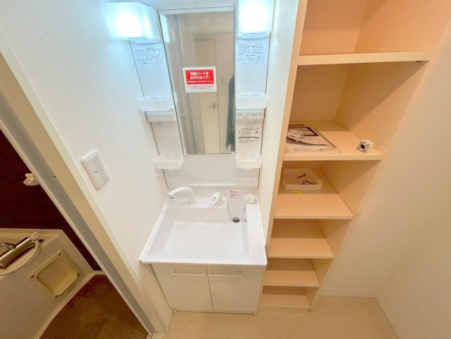 リセスコート2の洗面所