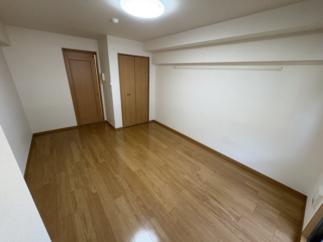 ドミール・シモハタのその他