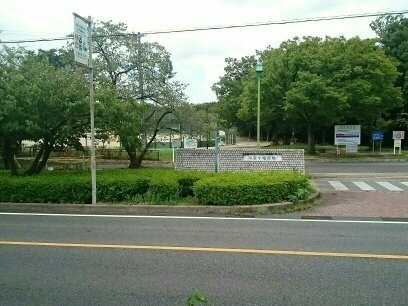 フィオーレ１の周辺|小幡緑地公園まで1200m
