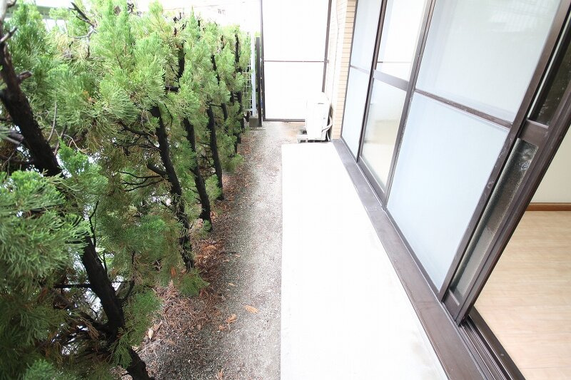 社ハイツの庭
