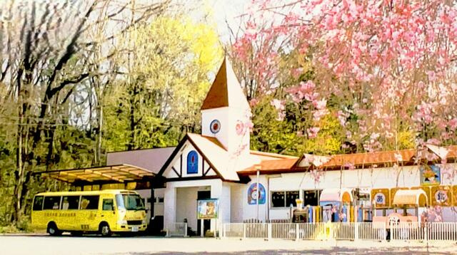 宇都宮市新里町　5ＳＬＤＫ　中古住宅のその他|あおば幼稚園まで2290m