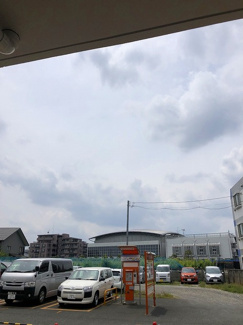 【展望】 | シンセーロ