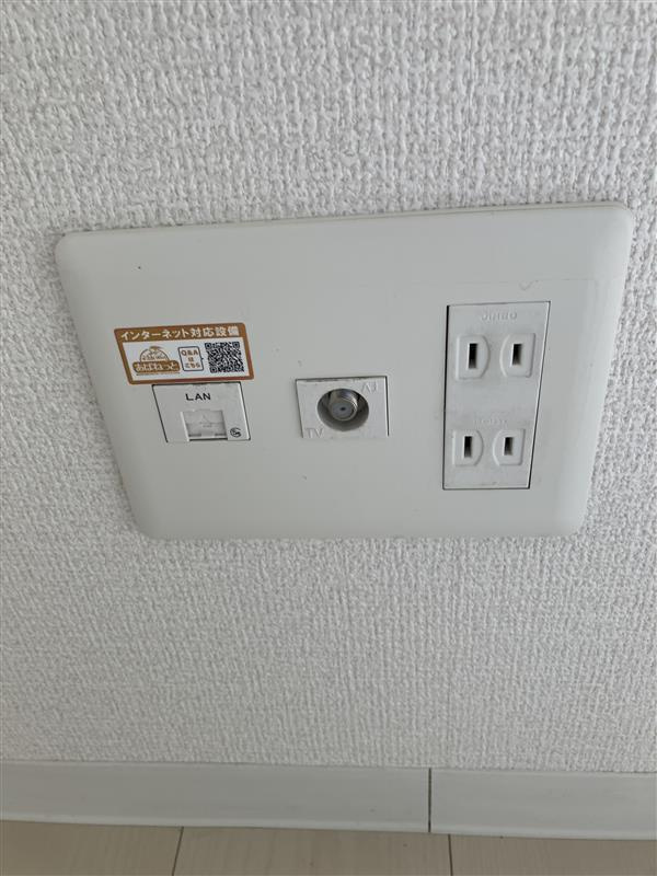 ＶｉＶｉ　ＥＢＩＳＵのその他